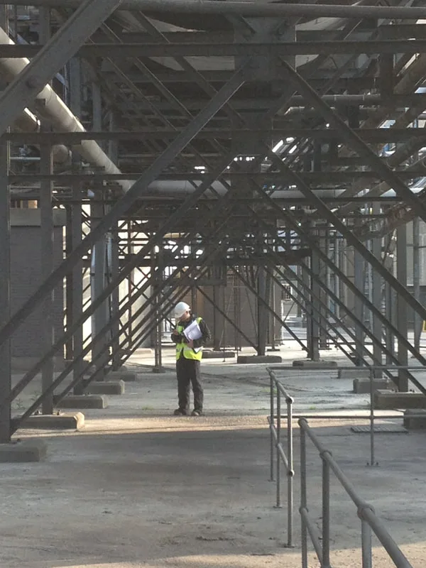 Ecology Survey at Kingsnorth Power Station