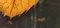 carousel chooser